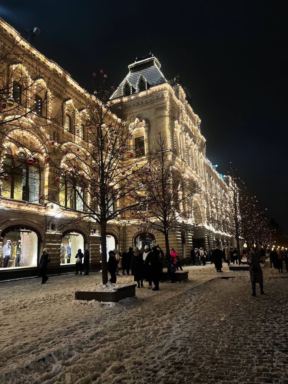 Новогодняя Москва 2 дня / 1 ночь