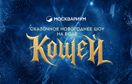 «Погружение в сказку: дельфинарий в "Москвариуме"»